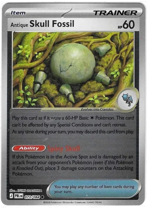 Antique Skull Fossil - Reverse Holo
