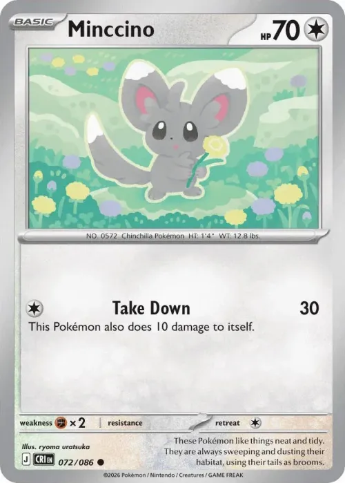 Minccino