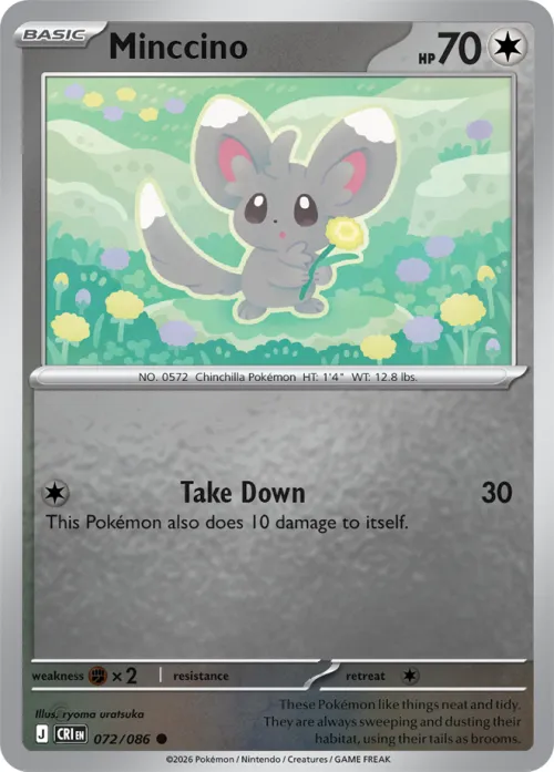 Minccino - Reverse Holo