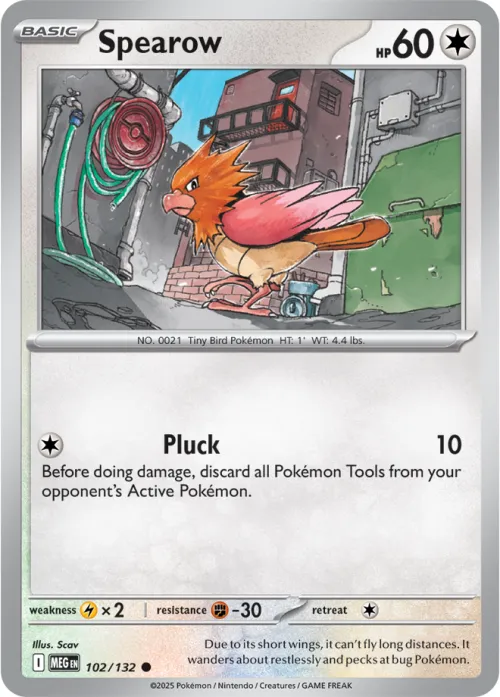 Spearow