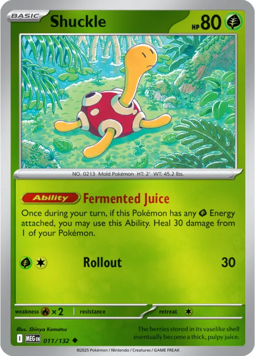 Shuckle - Reverse Holo