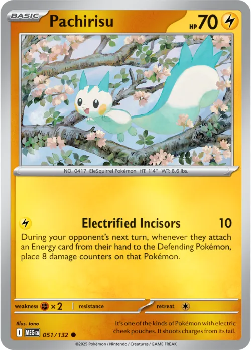 Pachirisu - Reverse Holo