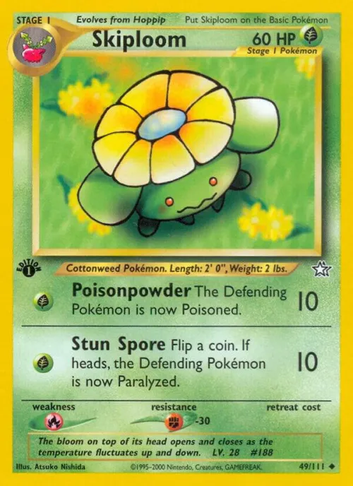 Skiploom - 1st Edition