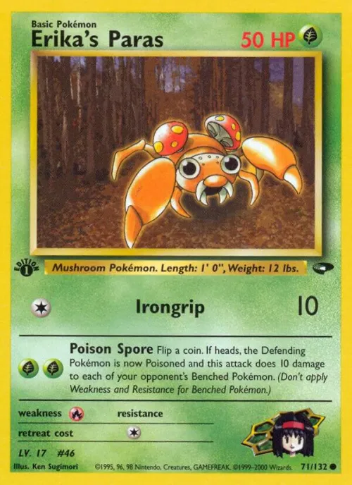 Erika's Paras - 1st Edition