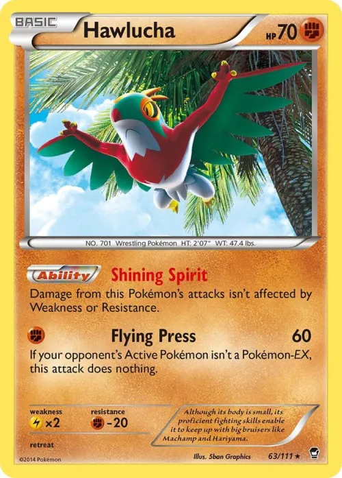 Hawlucha - Holo