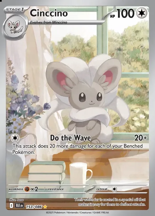 Cinccino