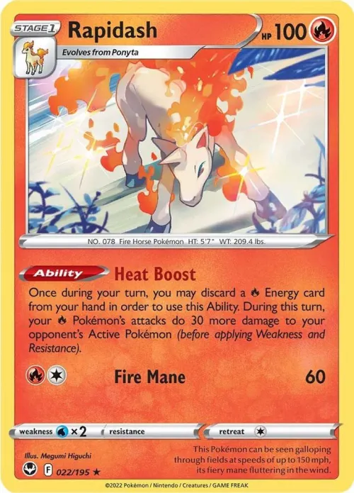 Rapidash - Holo