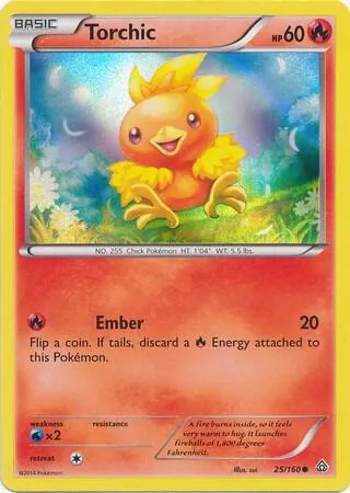 Torchic