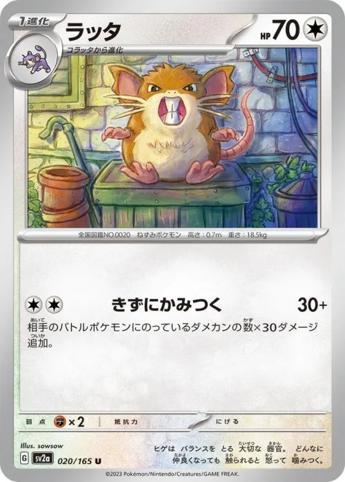 Raticate - Poke Ball Pattern