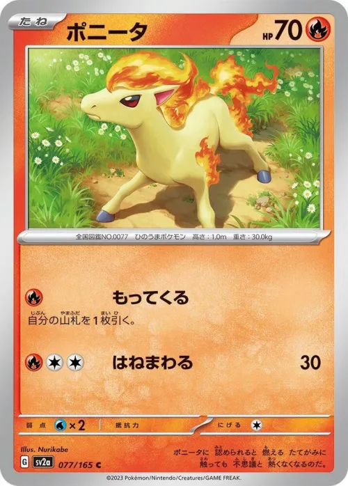 Ponyta - Master Ball Pattern