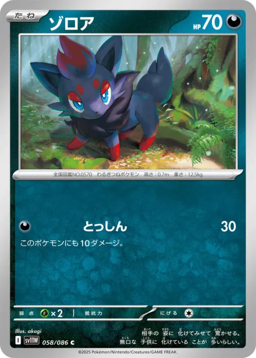 Zorua - Master Ball Pattern