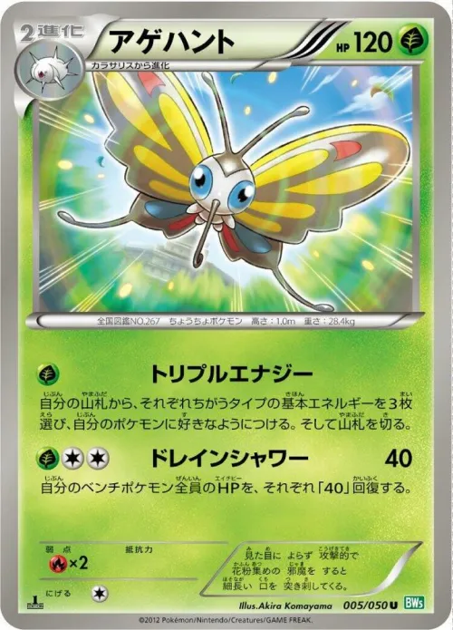 Beautifly - 1st Edition