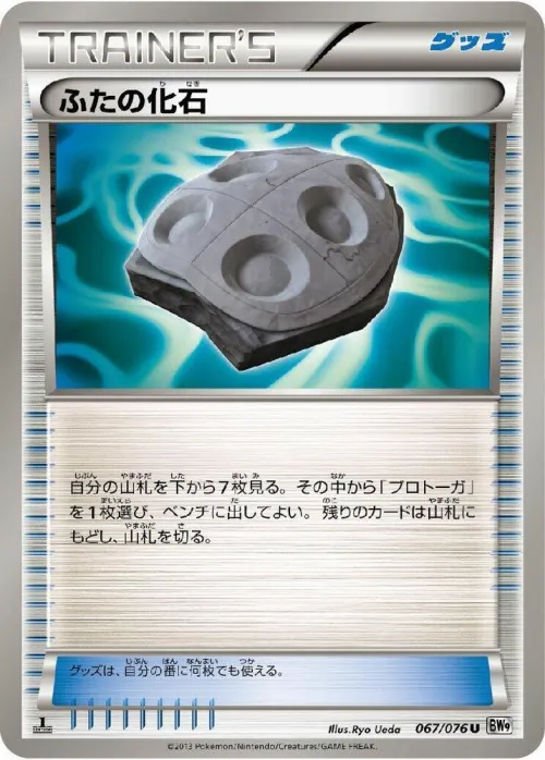 Cover Fossil - 1st Edition