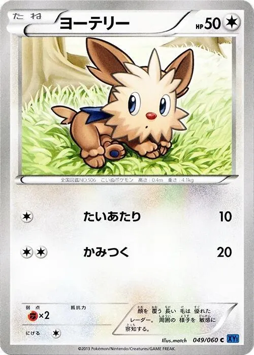 Lillipup - Unlimited