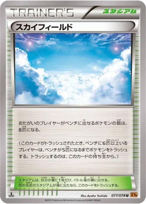 Sky Field - 1st Edition