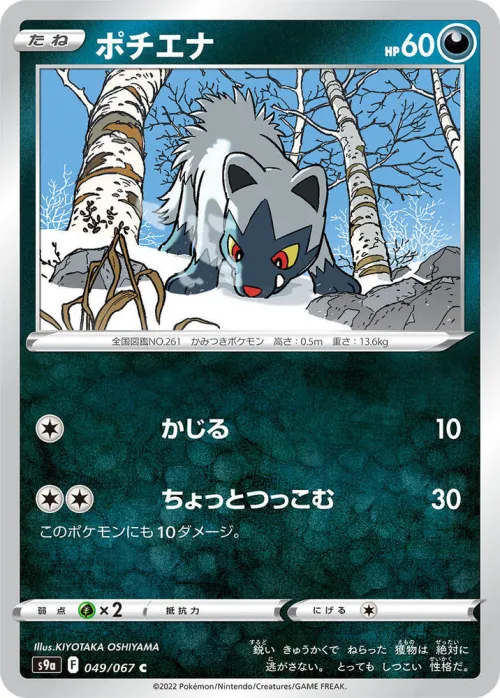 Poochyena - Poke Ball Pattern