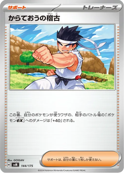 Black Belt's Training (144/175)