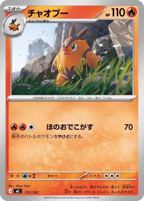 Pignite - Mirror Holo