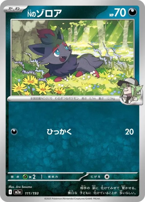 N's Zorua - Poke Ball Pattern