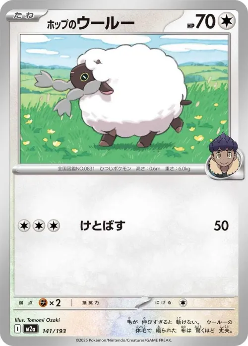 Hop's Wooloo - Energy Symbol Pattern