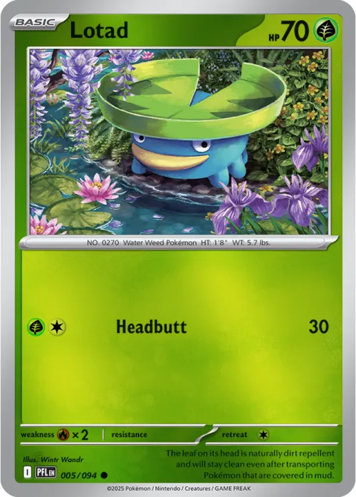 Lotad - Reverse Holo