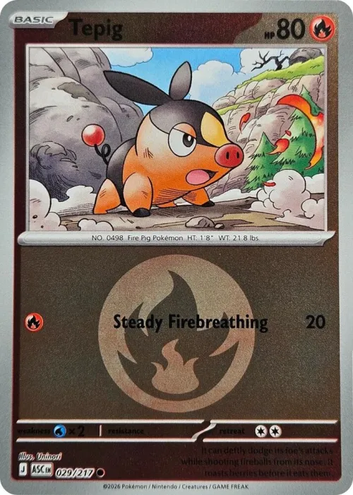 Tepig - Energy Symbol Pattern