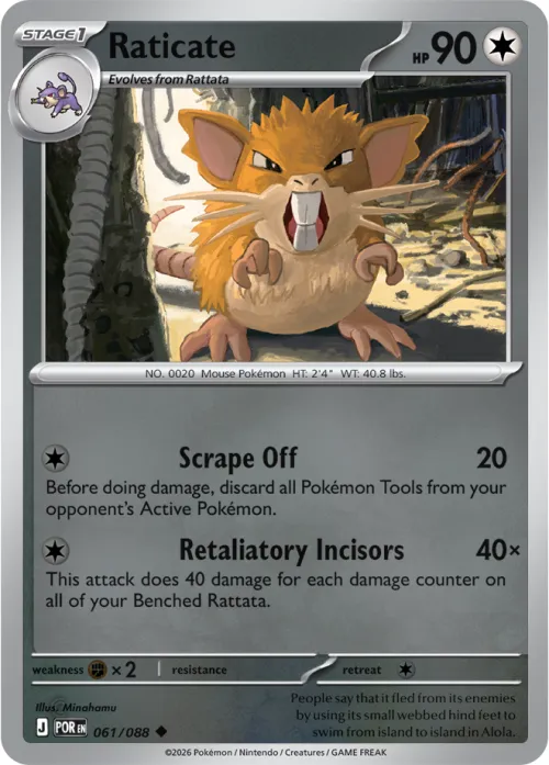 Raticate - Reverse Holo