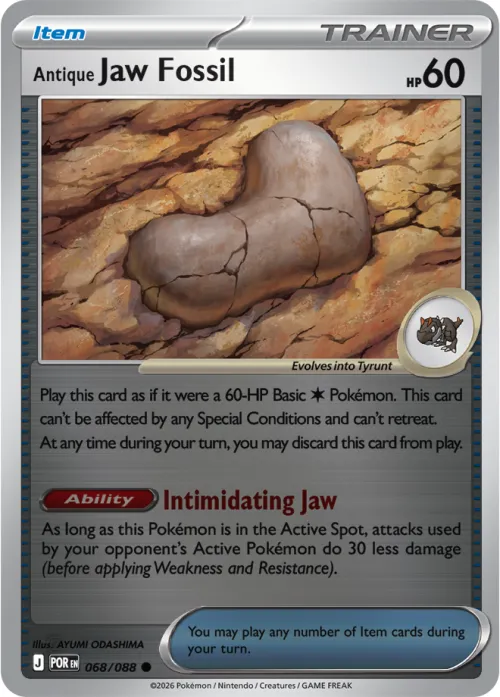 Antique Jaw Fossil - Reverse Holo