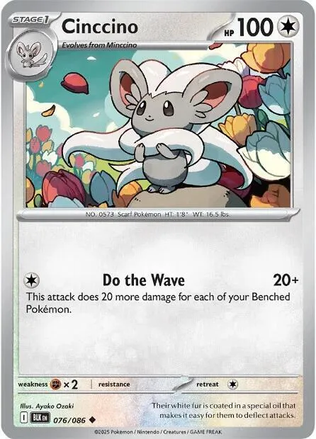 Cinccino