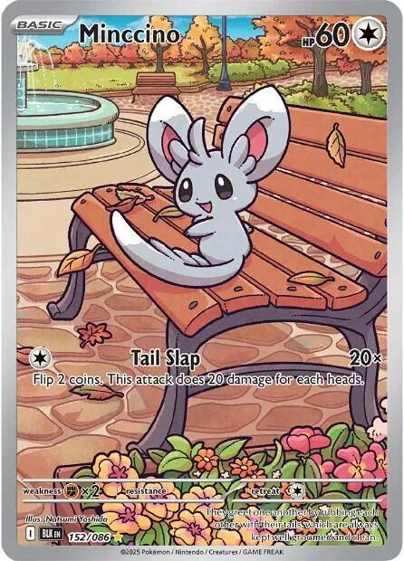 Minccino