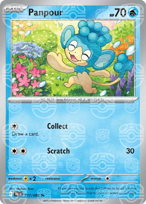 Panpour - Master Ball Pattern