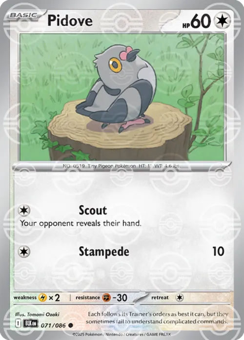 Pidove - Poke Ball Pattern