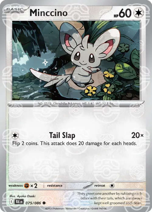 Minccino - Master Ball Pattern