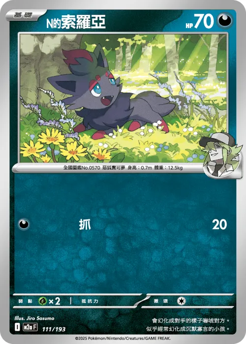 N's Zorua