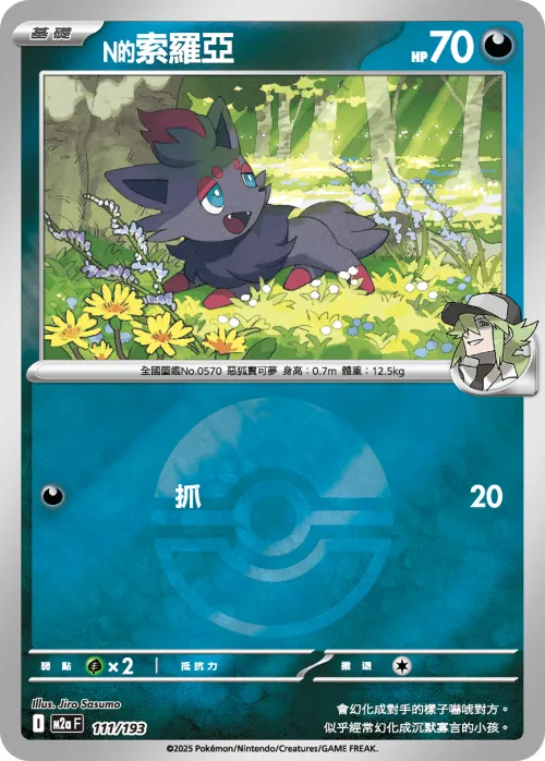 N's Zorua - Poke Ball Pattern