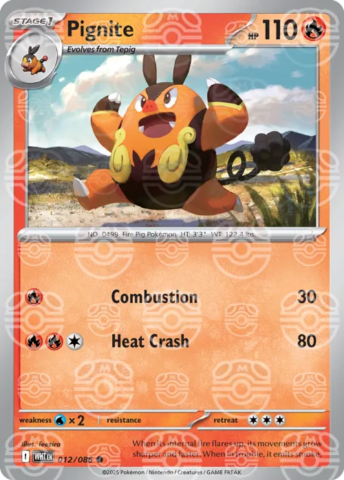 Pignite - Master Ball Pattern