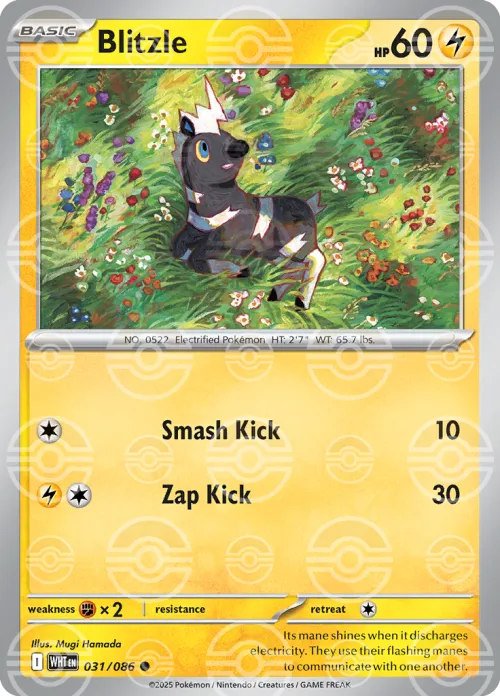 Blitzle - Poke Ball Pattern