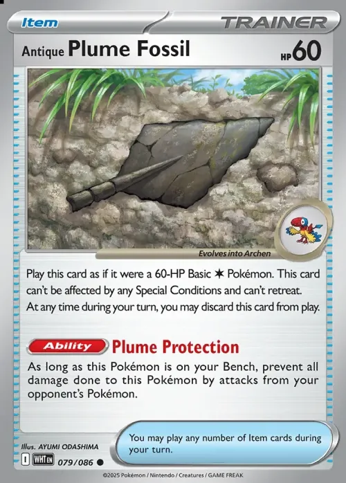 Antique Plume Fossil