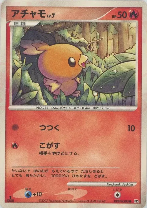 Torchic