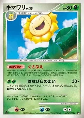 Sunflora