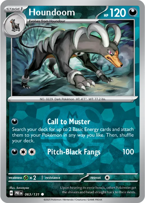 Houndoom - Master Ball Pattern
