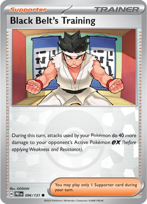 Black Belt's Training - Poke Ball Pattern