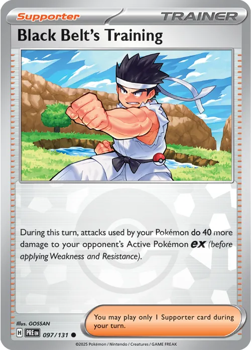 Black Belt's Training - Poke Ball Pattern