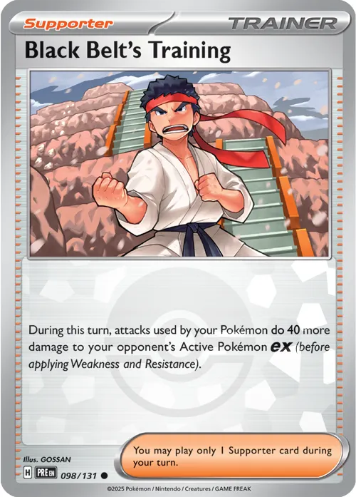 Black Belt's Training - Poke Ball Pattern