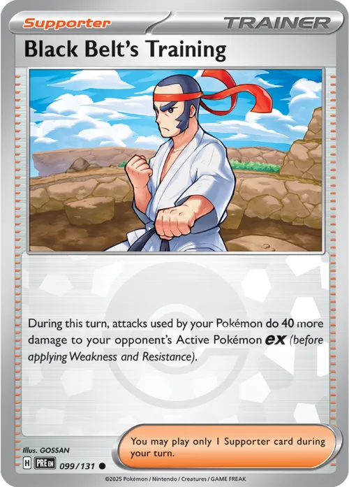 Black Belt's Training - Poke Ball Pattern