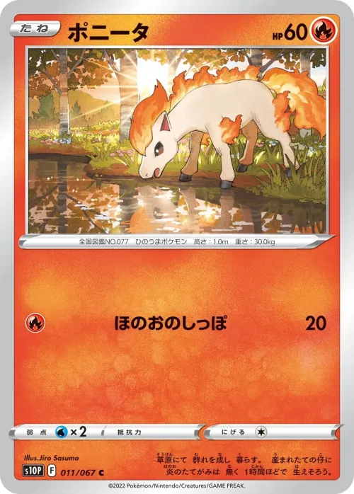 Ponyta