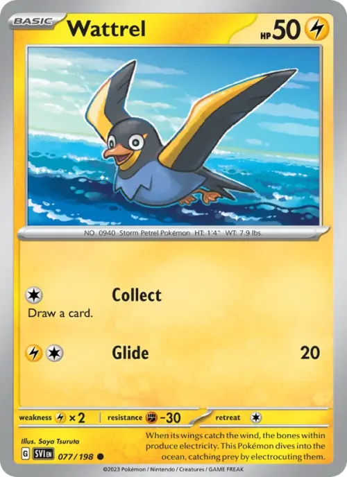 Wattrel - Reverse Holo