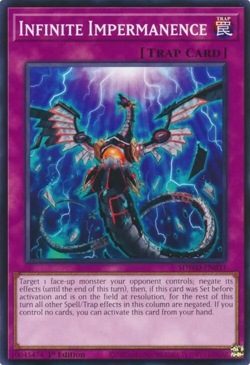Infinite Impermanence - 1st Edition