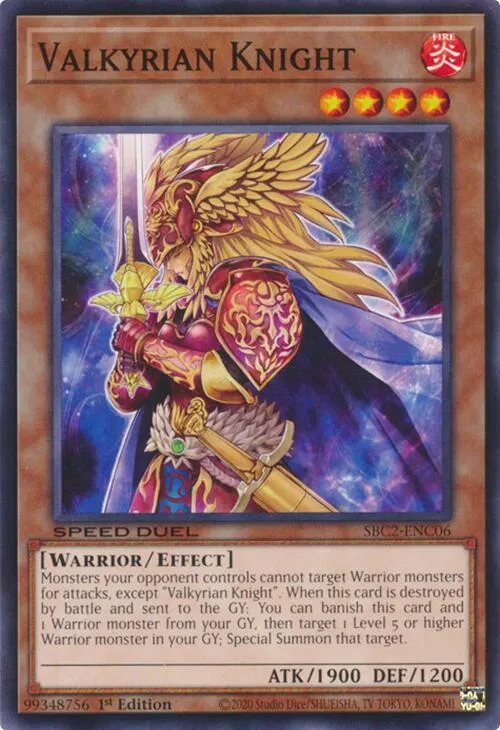 Valkyrian Knight