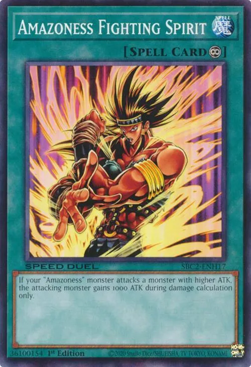 Amazoness Fighting Spirit